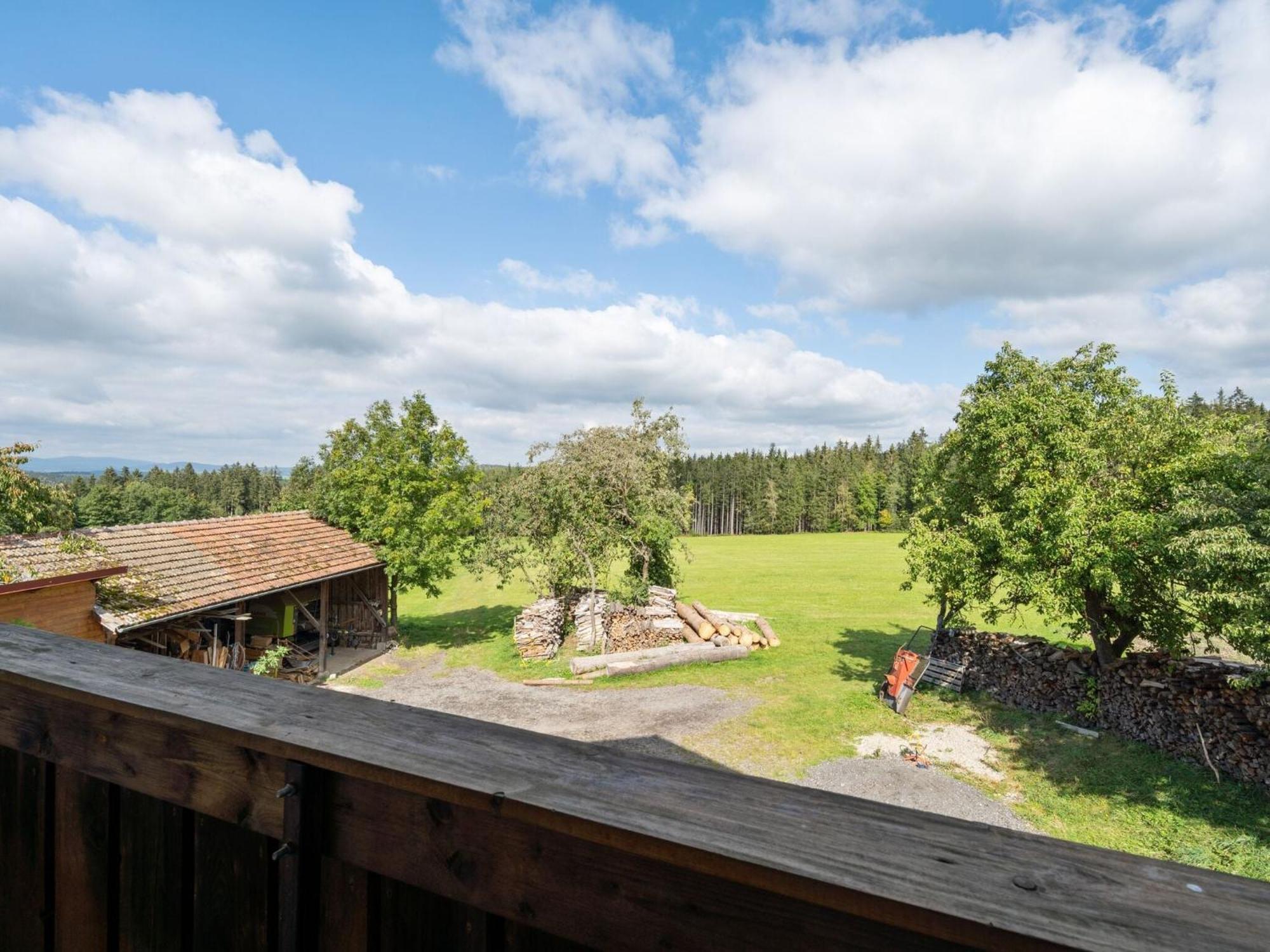 Apartment On A Farm Near The Ski Area Neukirchen beim Heiligen Blut Eksteriør bilde