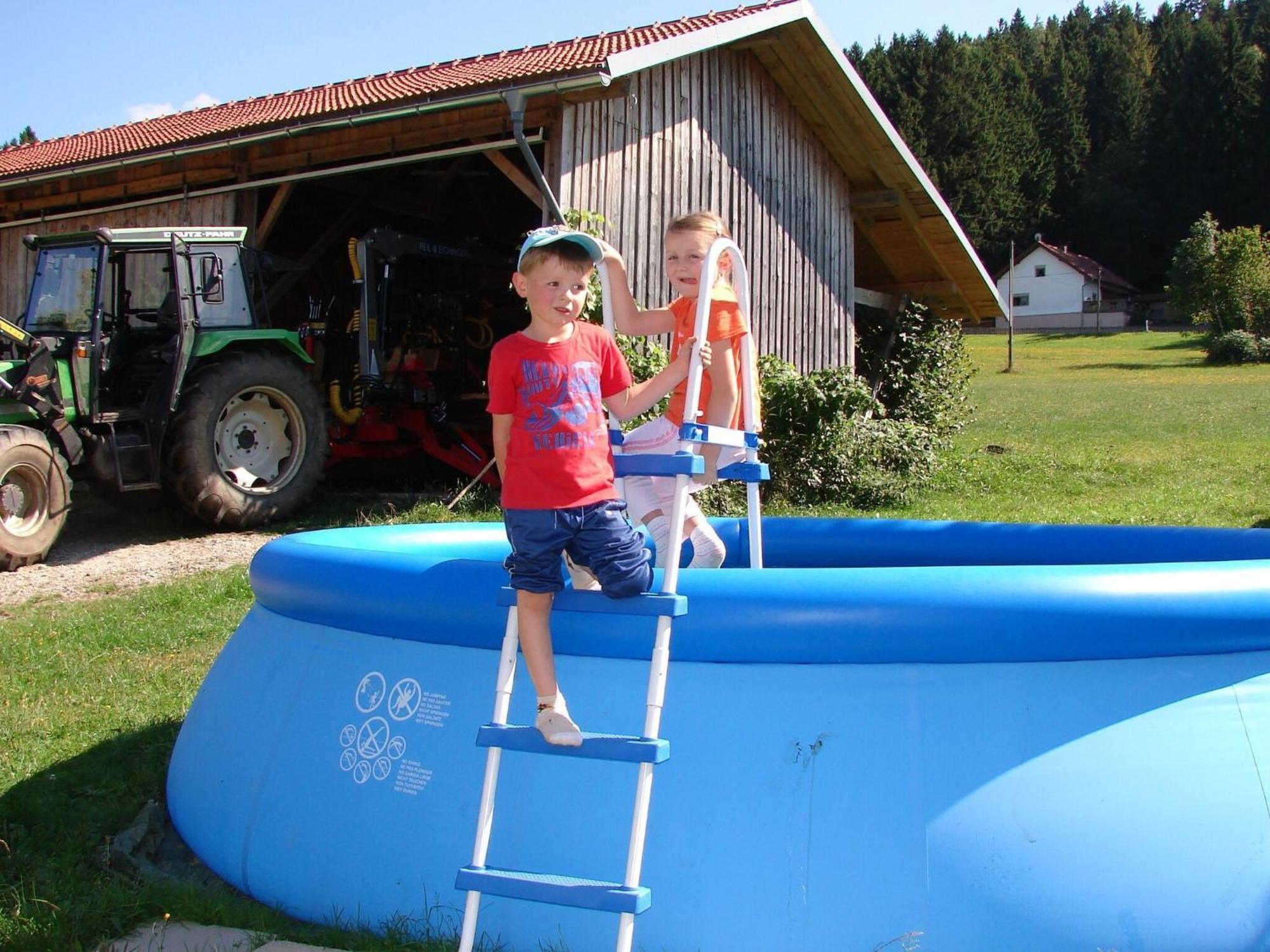 Apartment On A Farm Near The Ski Area Neukirchen beim Heiligen Blut Eksteriør bilde